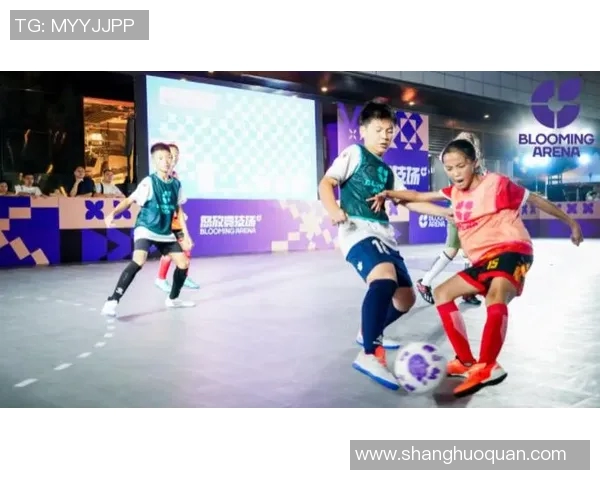 杭州排球队灵活性变革引发热议助力竞技水平提升与战术创新