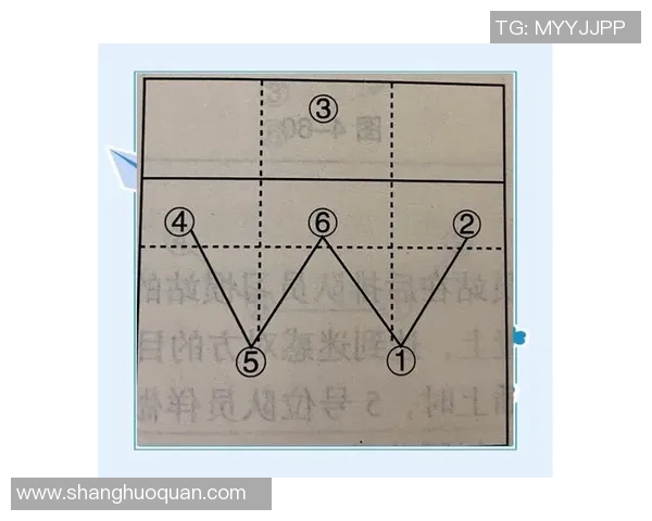 成都排球队反击战术解析与深度剖析排球竞技中的策略运用