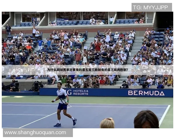 世界杯点评：杭州网球队的实力表现