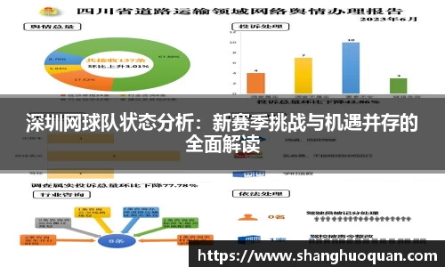 深圳网球队状态分析：新赛季挑战与机遇并存的全面解读