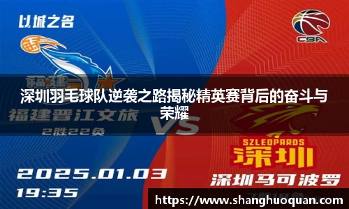 深圳羽毛球队逆袭之路揭秘精英赛背后的奋斗与荣耀